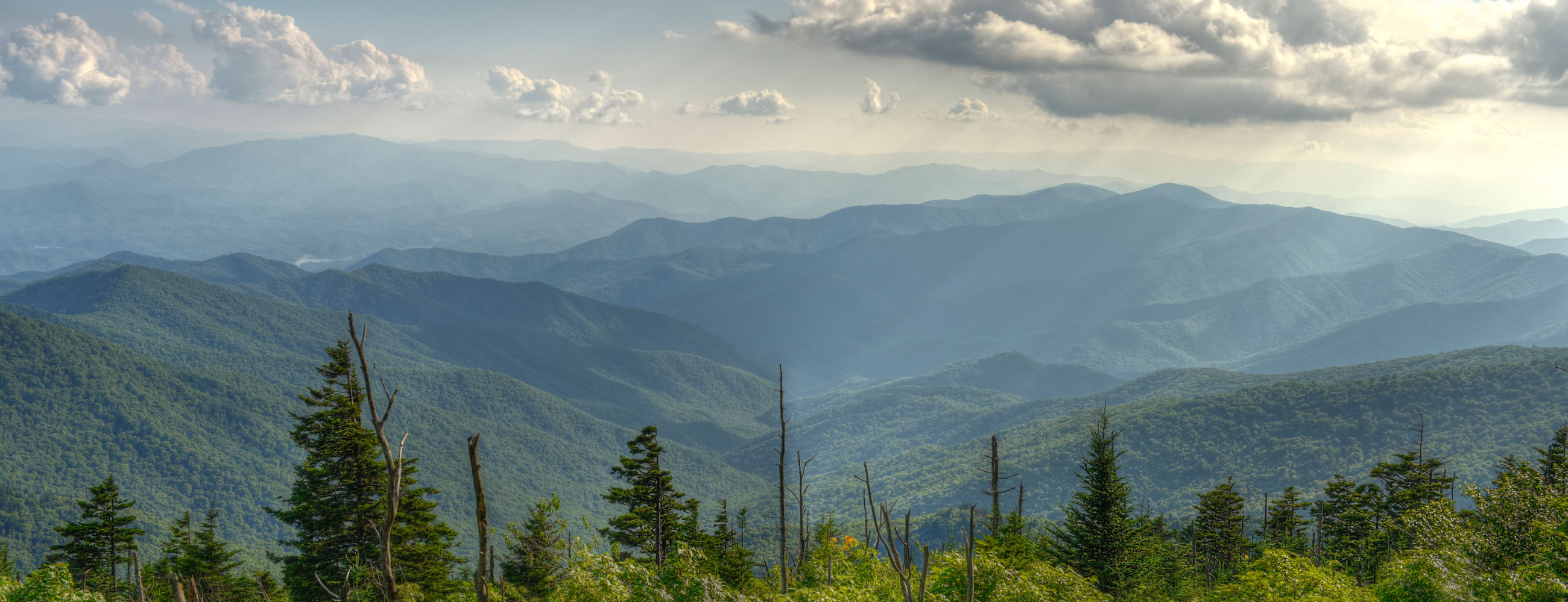 Tortillas A Mano  Hechos En Casa De Luisa